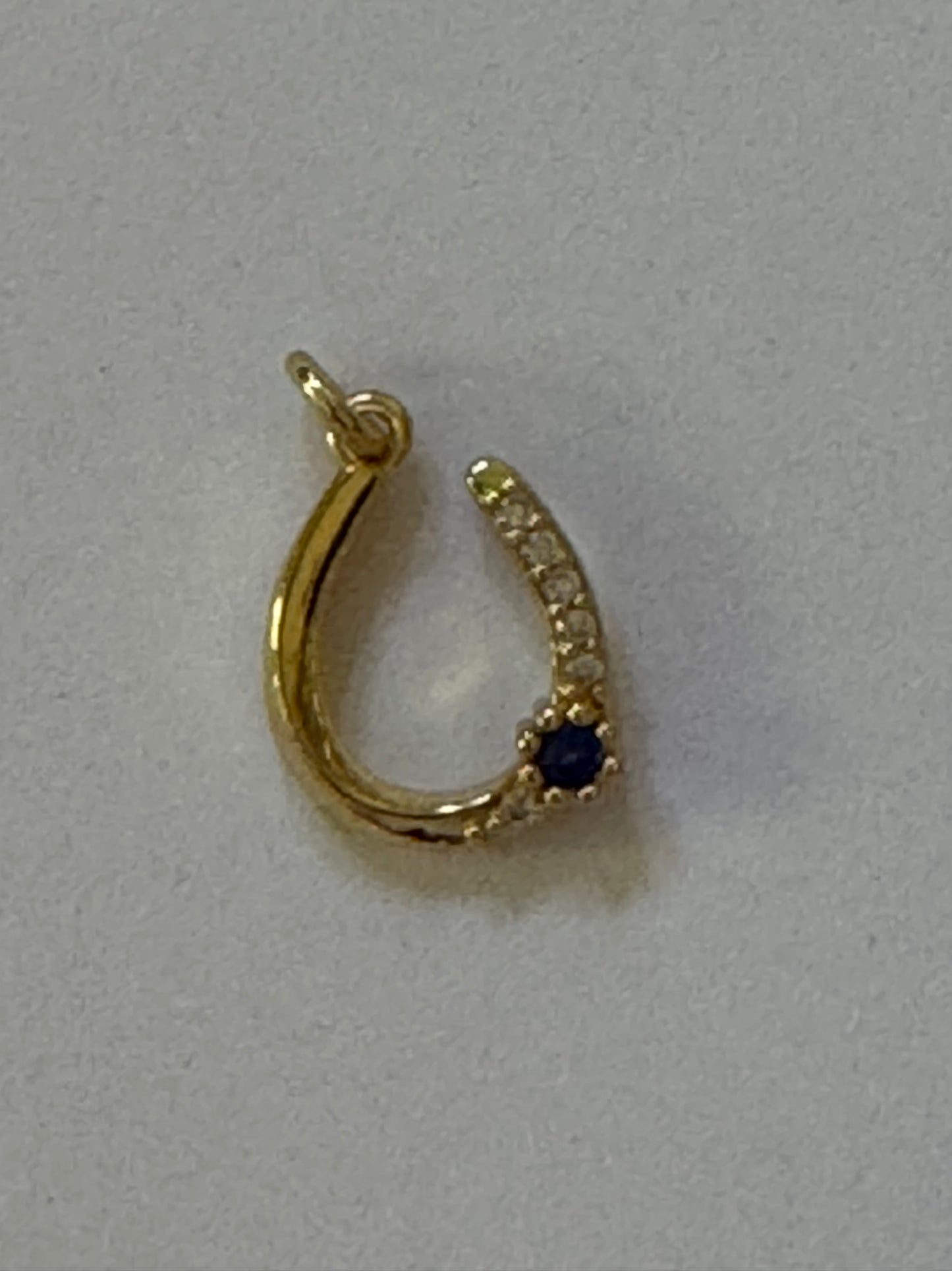 Horseshoe with Gemstone Detail