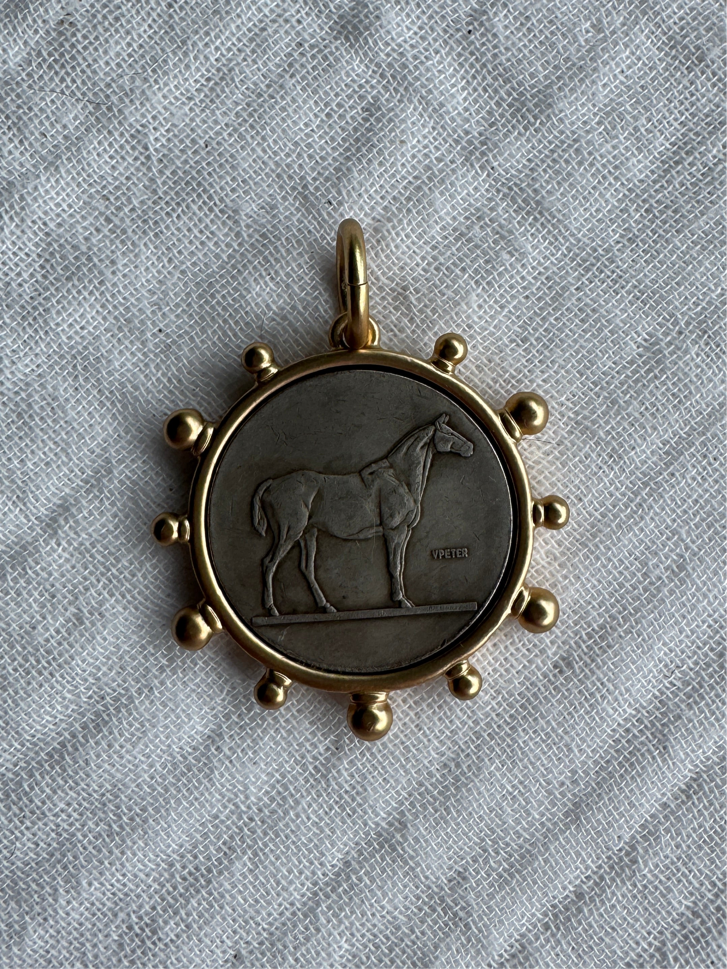 Horse Coin Medallion