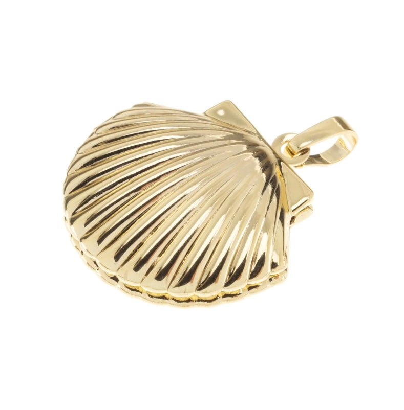 Shell Locket