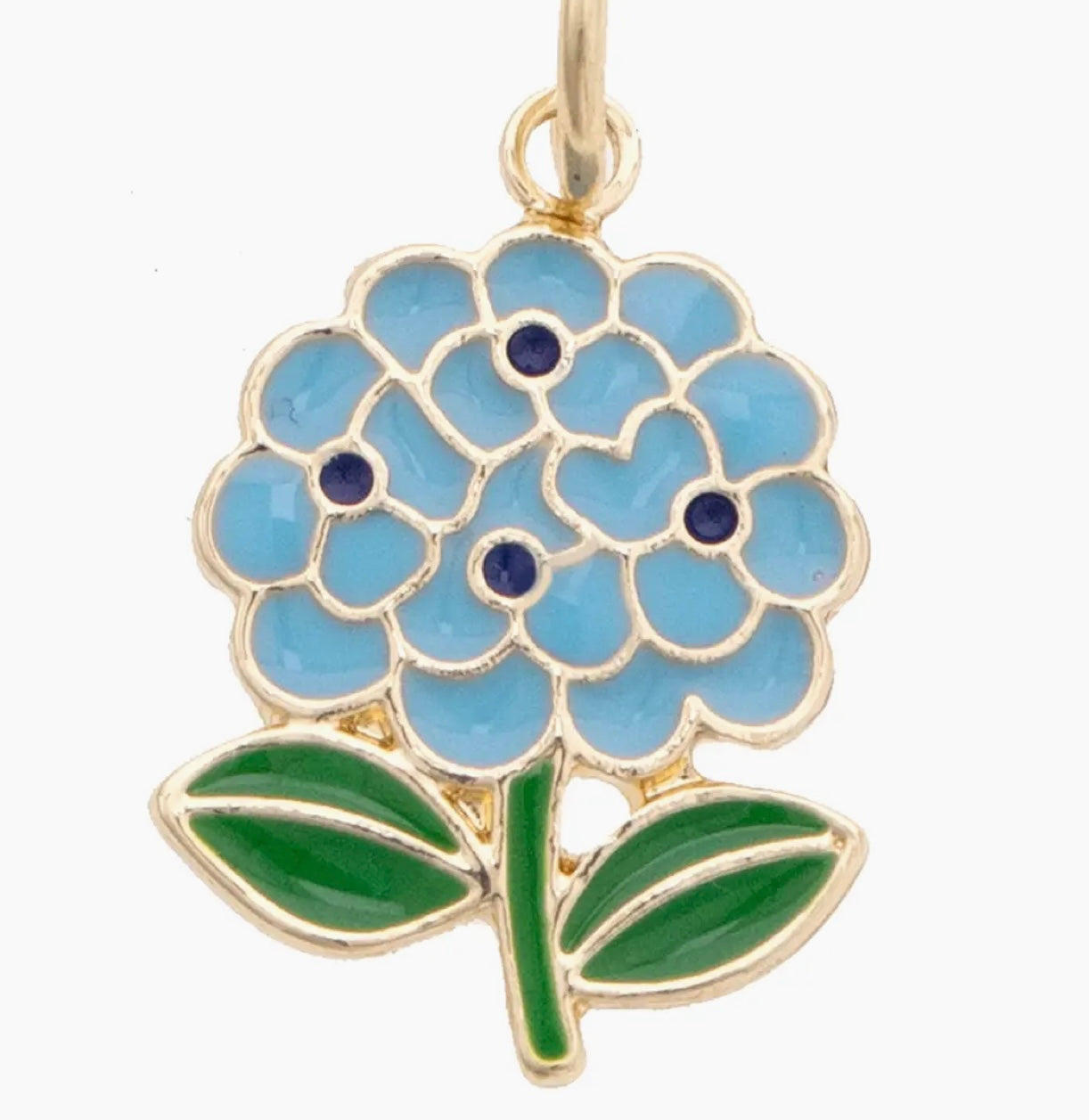 Hydrangea Charm