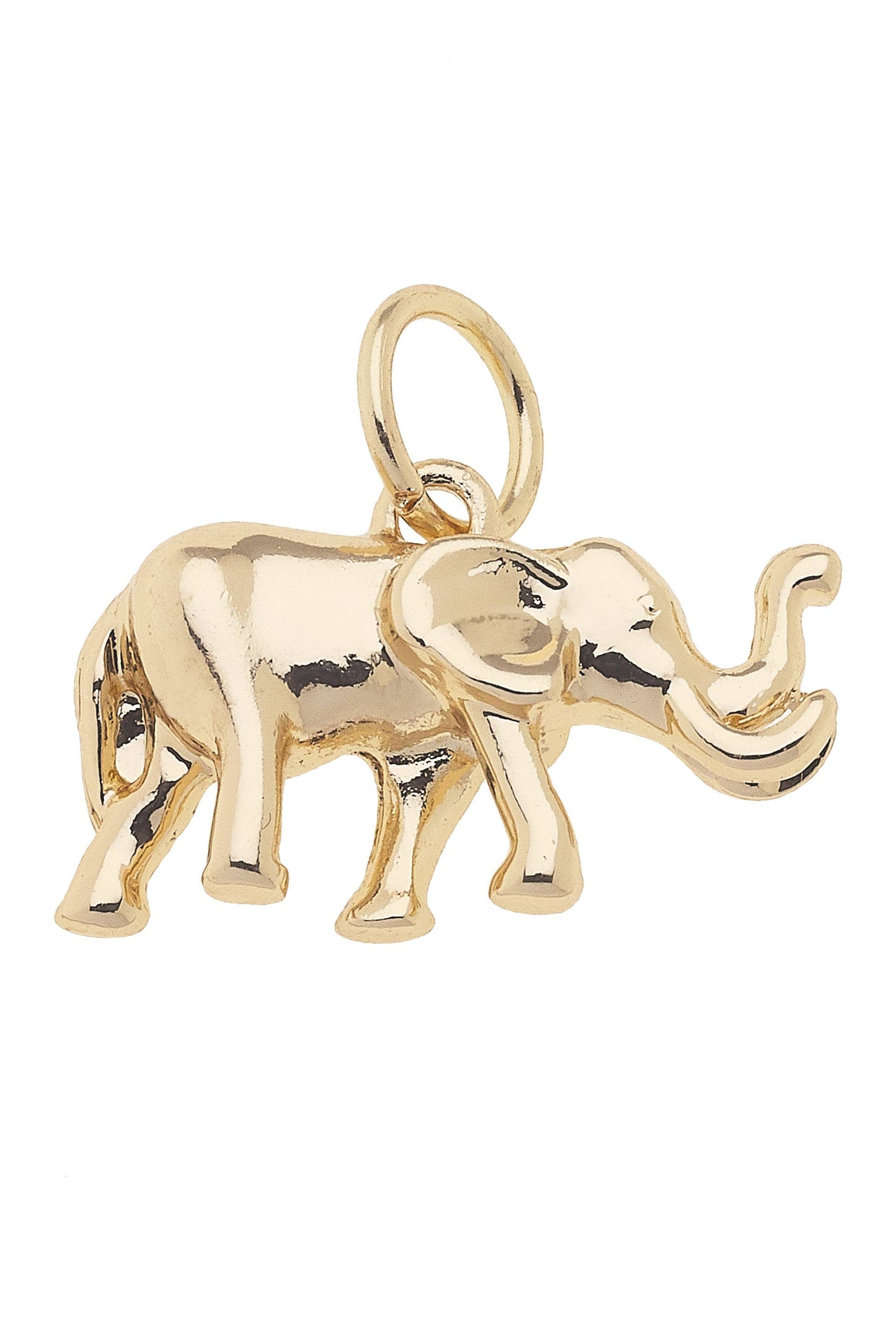 Elephant Charm