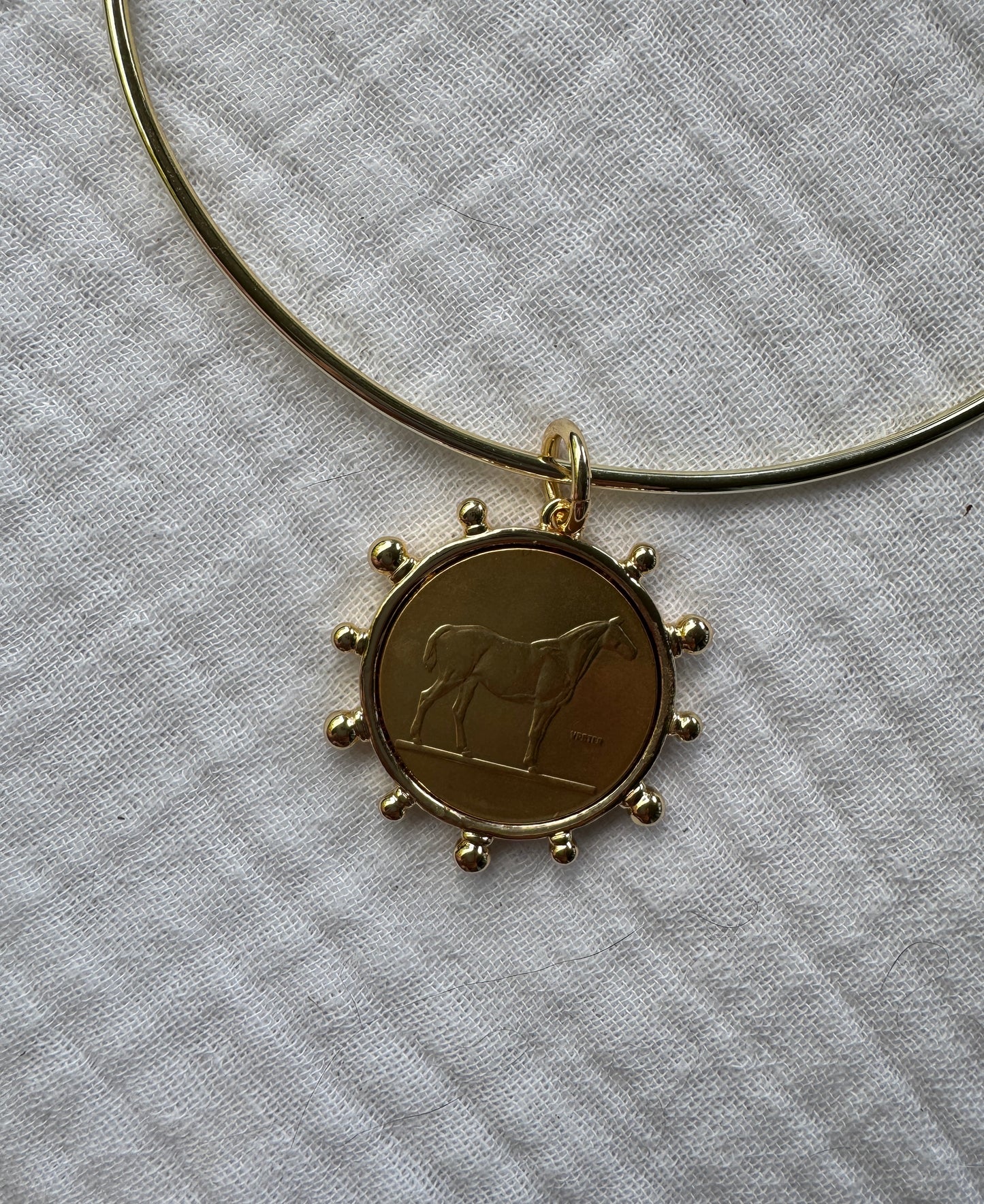 Horse Coin Medallion
