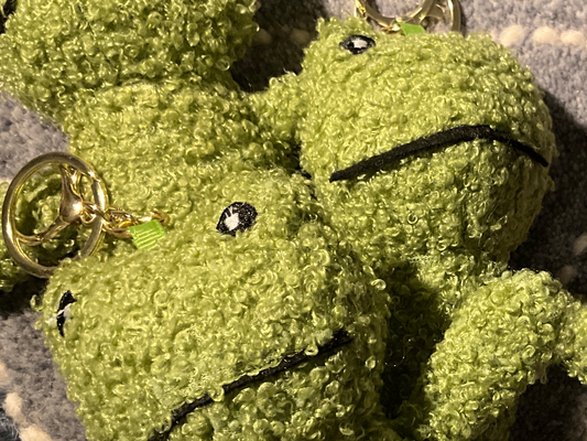 Stuffed Frog