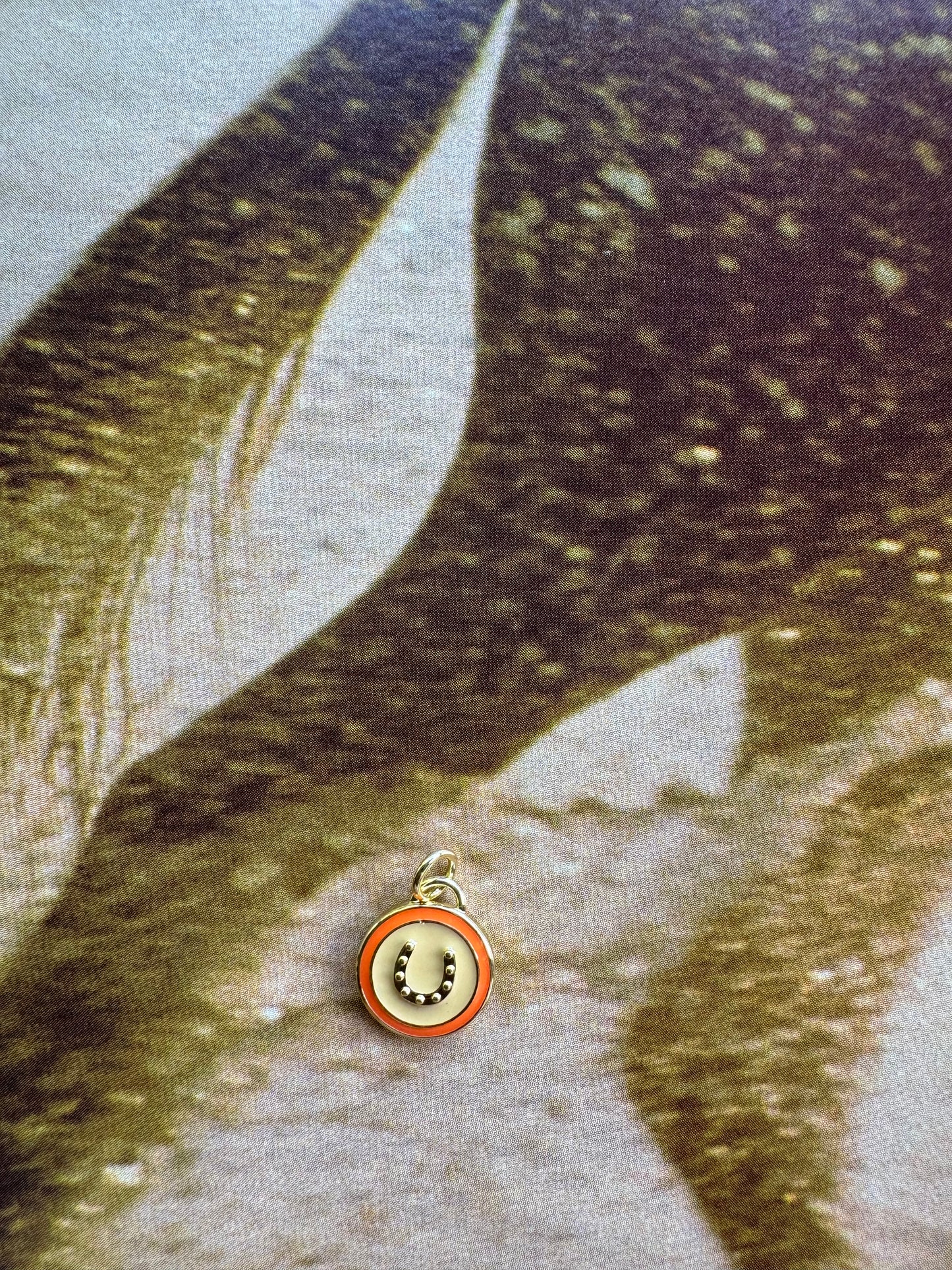 Mini Enamel Horseshoe Charm