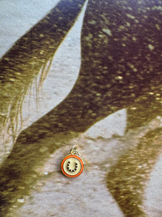 Mini Enamel Horseshoe Charm