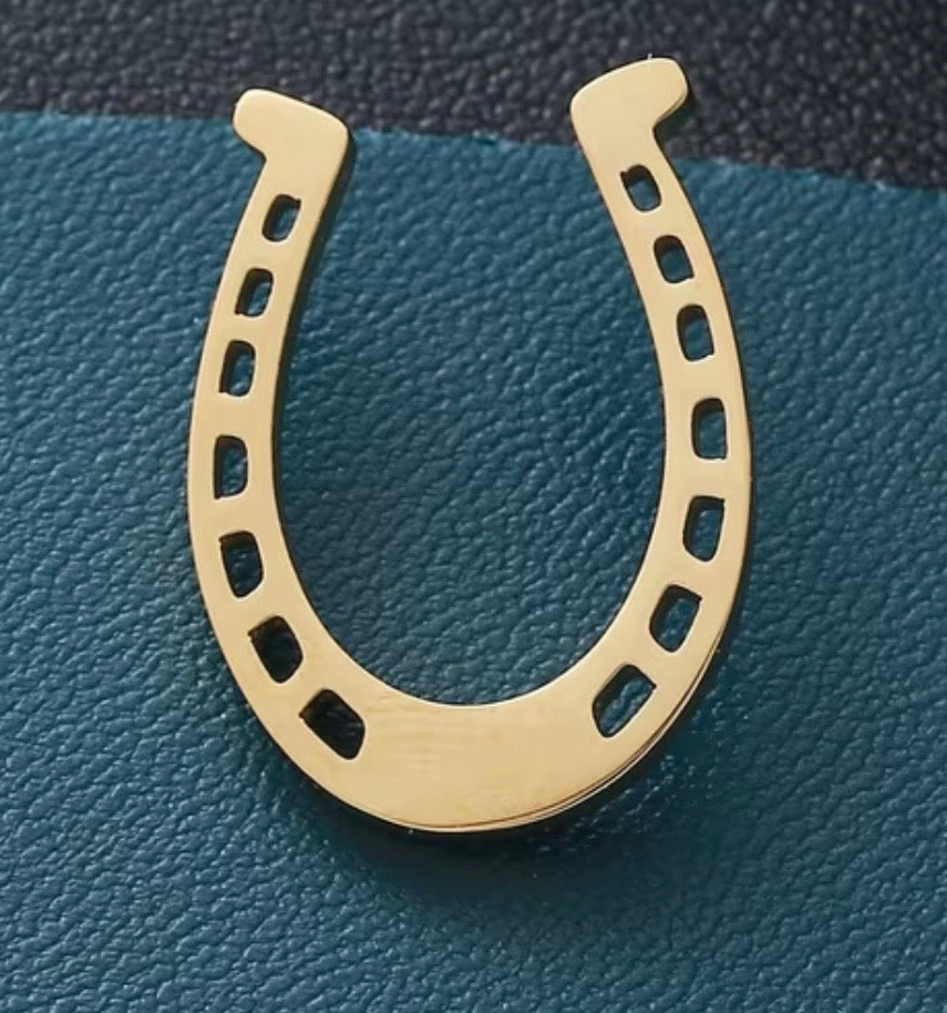 Horseshoe Pin