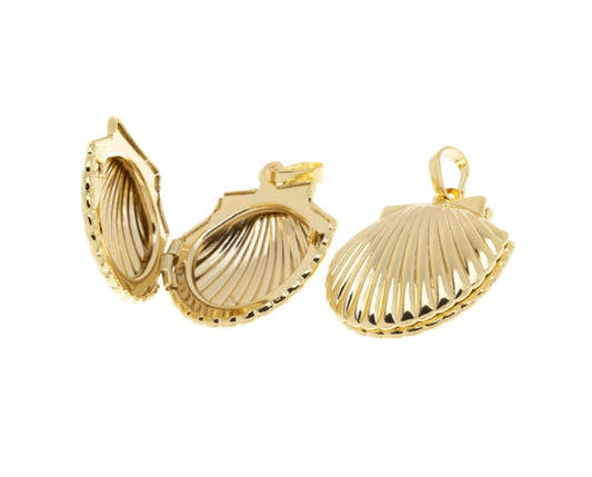Shell Locket