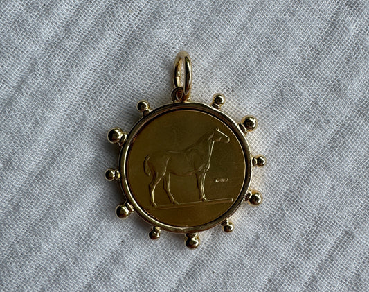Horse Coin Medallion