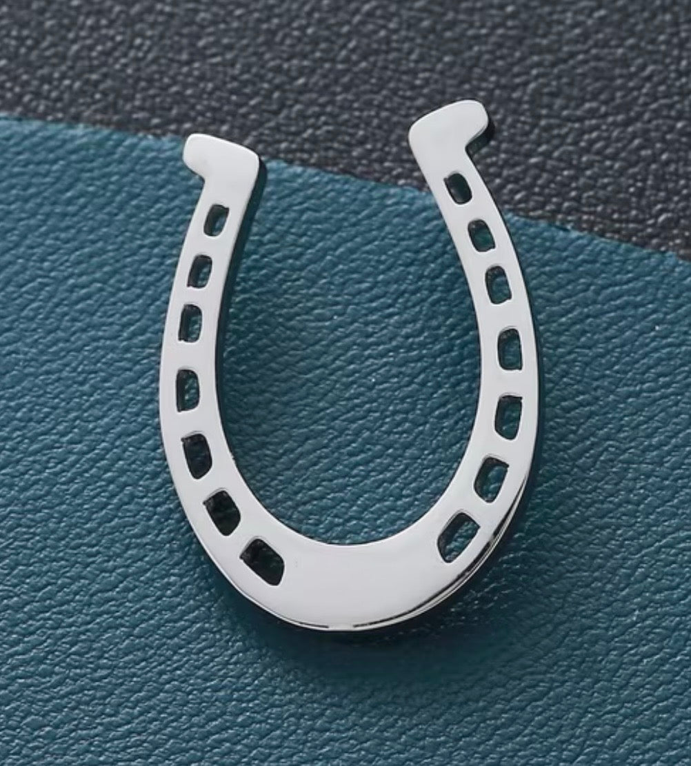 Horseshoe Pin