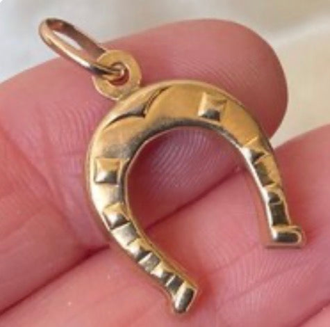 Vintage Horse Shoe